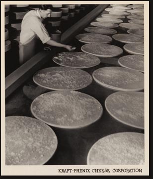 Ninety two-hundred-pound Swiss “wheels” (three deep) in one of the “salt baths” at the Kraft Antigo plant. This is the first step in the development of the distinctive Swiss flavor. The “wheels” float around in a salt brine solution for three days, are then placed on shelves for several months to cure, where they are turned regularly and rubbed with salt.