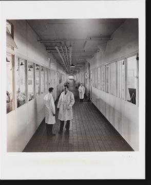 Science out into the open was the universal plan of Chrysler Corporation engineers for their new home. Hospital-like corridors with powerhouse sturdiness continuously banked with glass windows look in upon scientifically lighted laboratories in which a multitude of mechanical devices and scientific instruments of today’s knowledge are spaciously arranged.