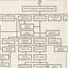 Table VII. Operating Organization of the Union Pacific and Southern Pacific Systems. Morris, Ray. Railroad Administration. New York and London: Appleton, 1920.  Baker Old Class Collection, Baker Library Historical Collections, Harvard Business School.