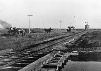 Monte Vista Lariat, Colorado, March 1884. Denver Public Library, Western History Collection,  X-11052.