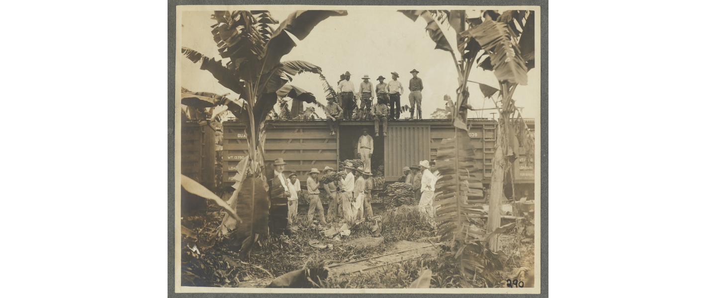 Image of workers loading bananas