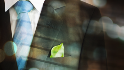 Business suit with green leaf. (Shutterstock)